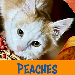 Peaches